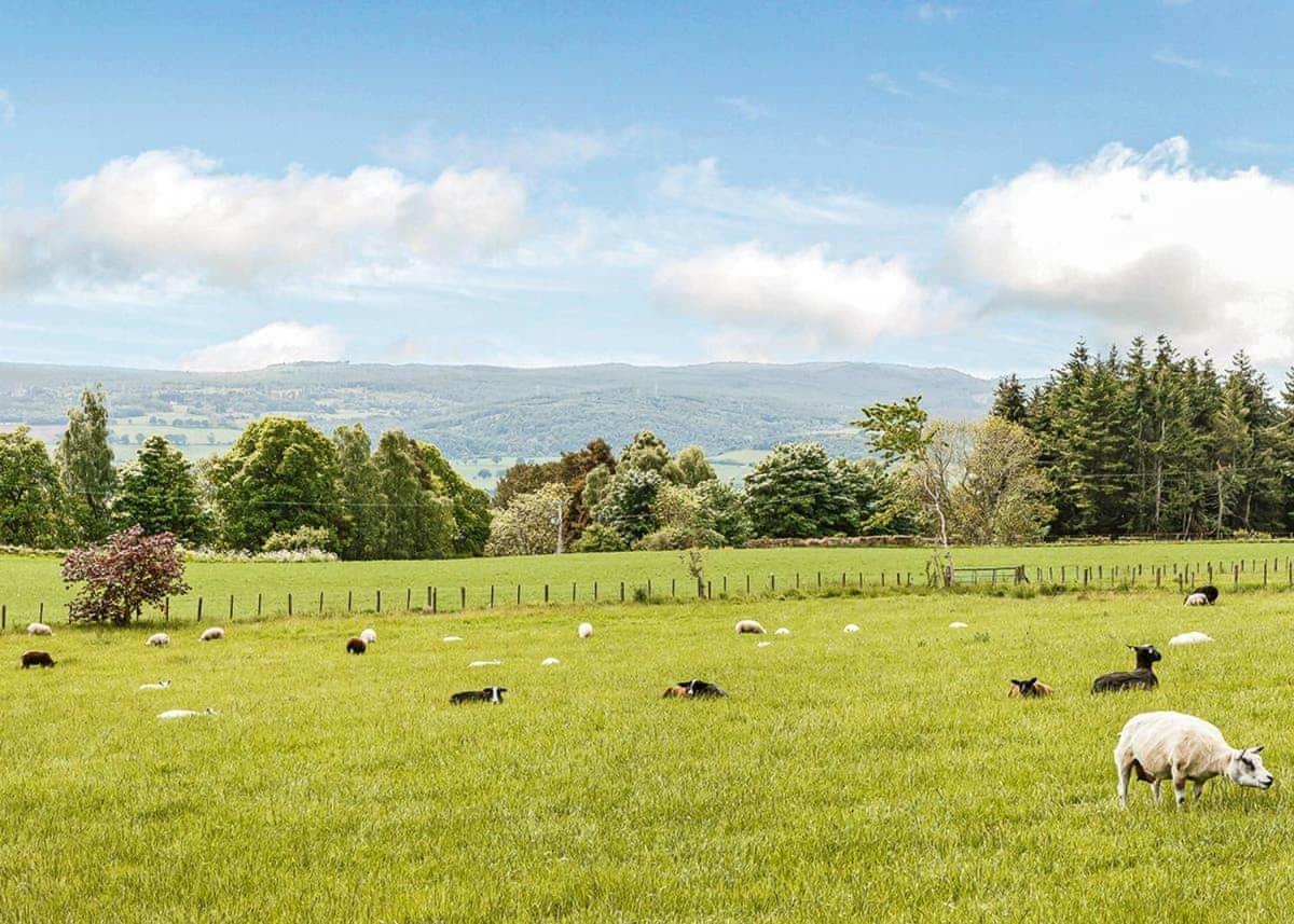 Kessock Highland Lodges North Kessock Buitenkant foto